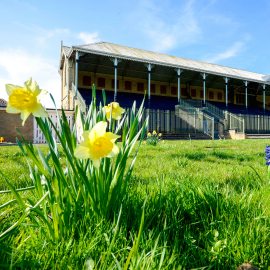 A low angle of the Grandstand against a blue sky, with green grass and daffodils in the foreground.