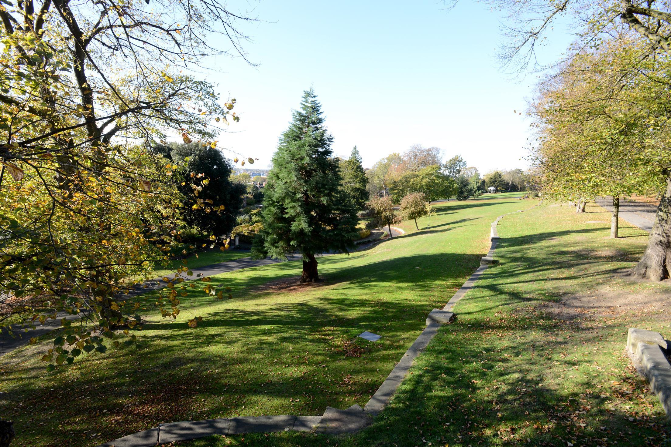 Lots of different trees in a grassy park