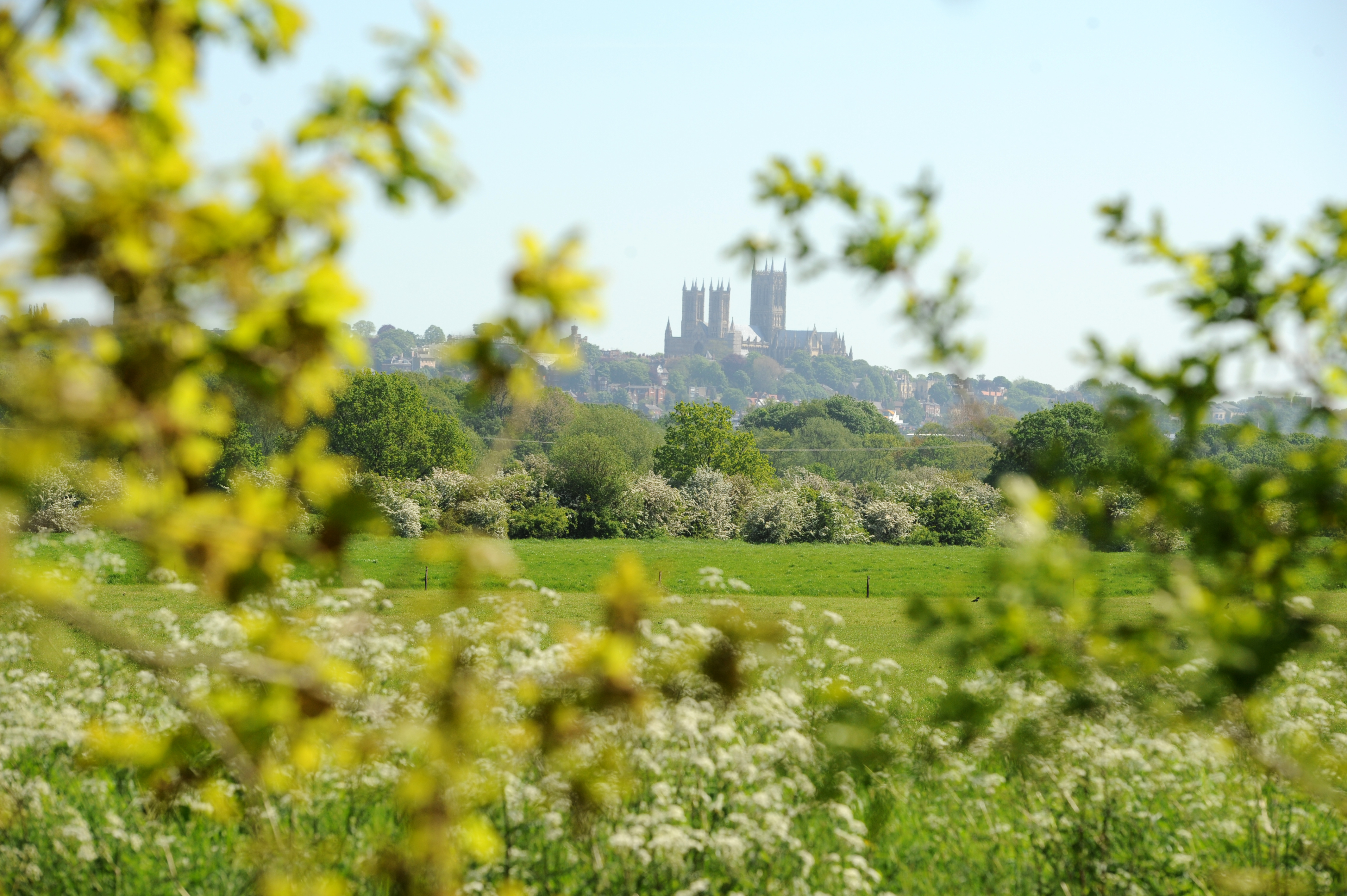 A photo of Lincoln Cathedral surrounded by lots of greenery with the camera positioned behind leaves which can be seen in the photo.